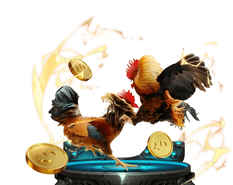 Các loại hình đá gà vang88